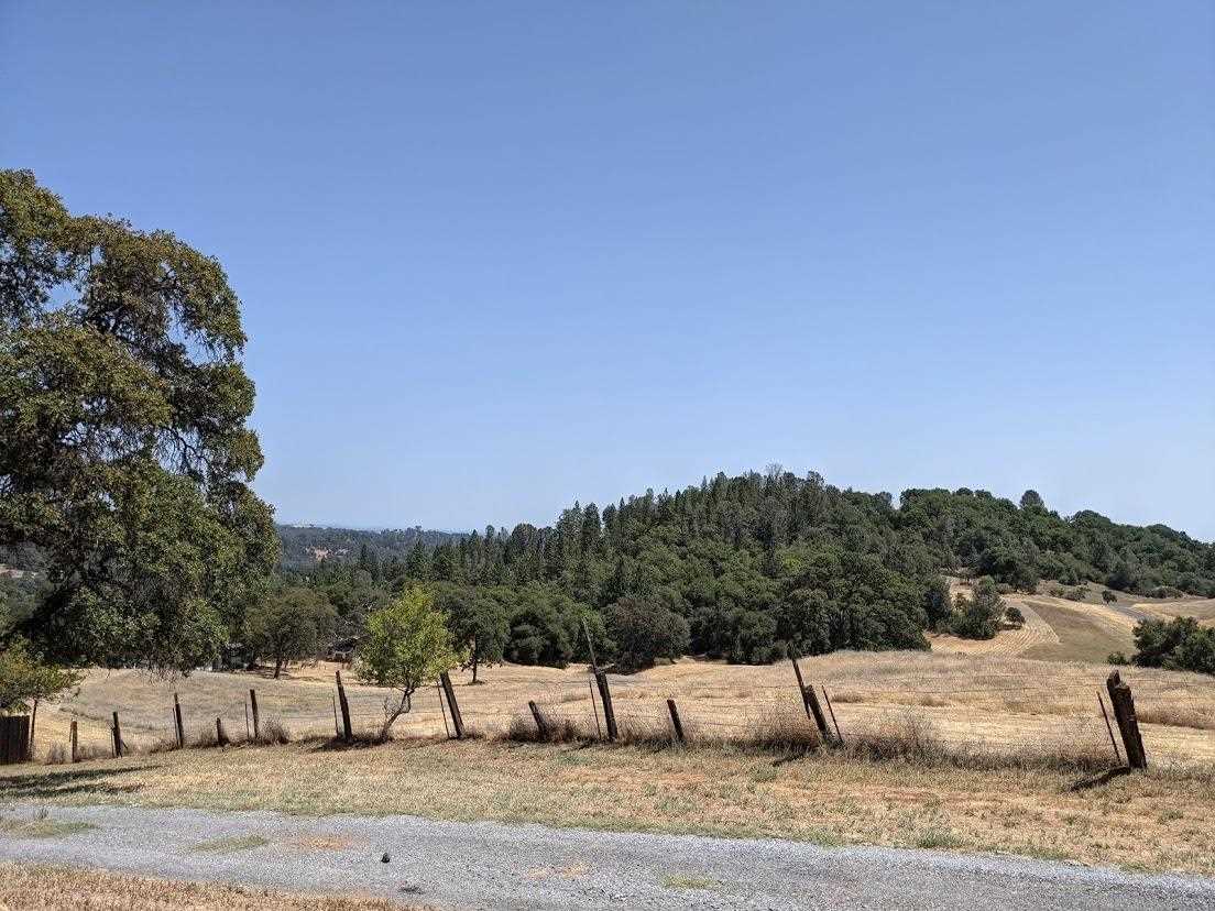 Hummingbird Lane