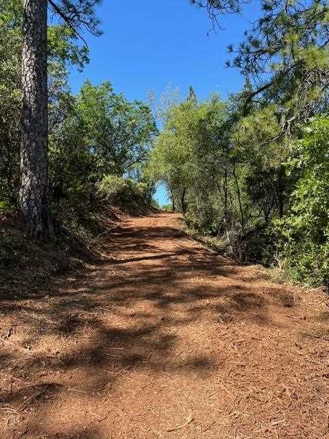 Wooded access area