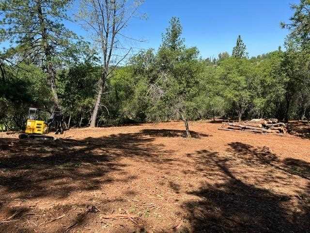 Open wooded area