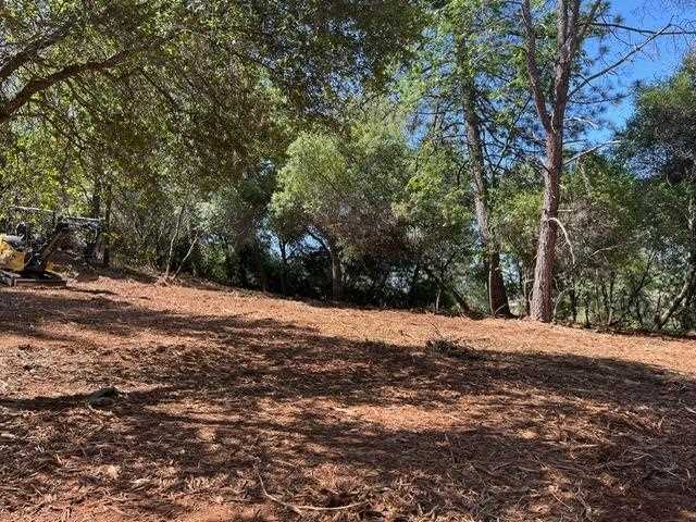 Wooded property terrain