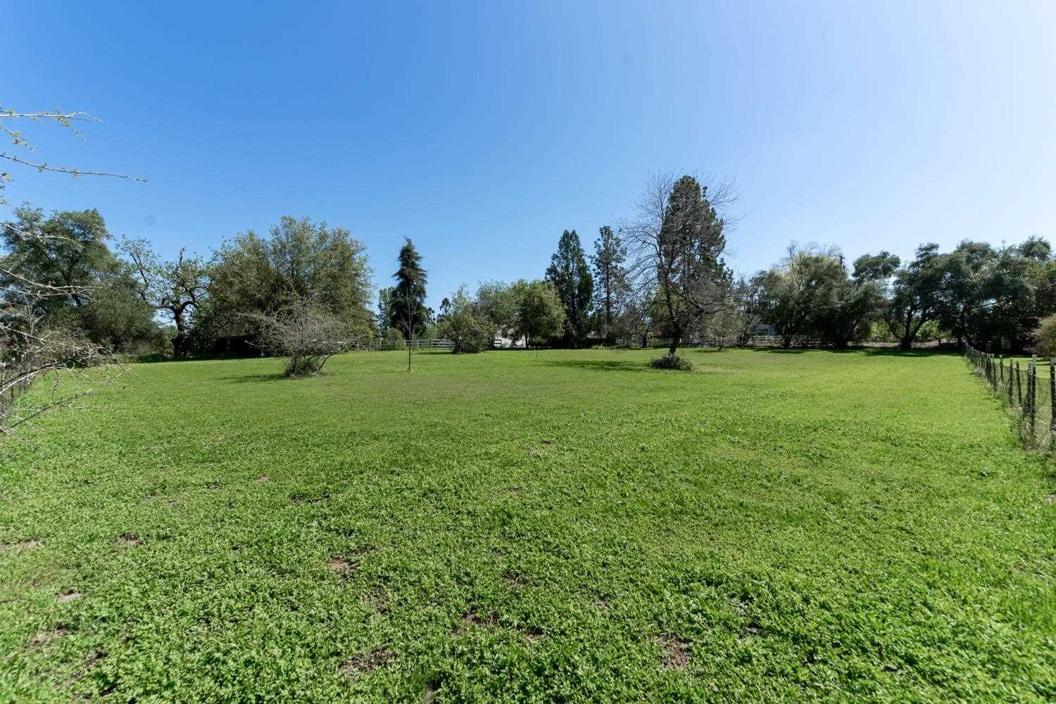 Mostly level open land