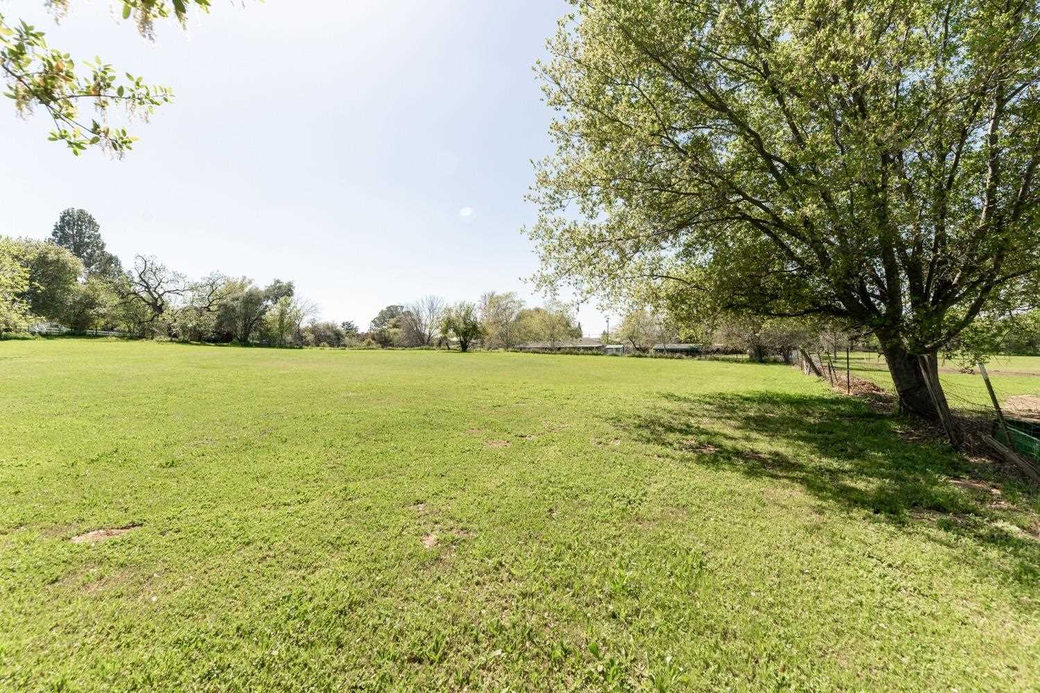 Tree-lined portion of the property